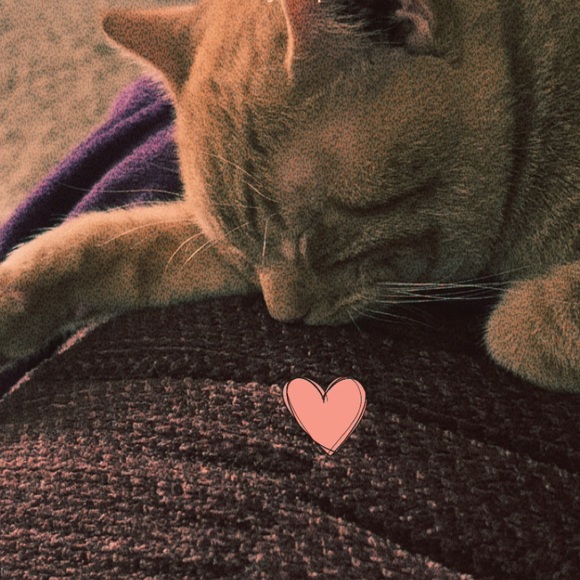 1loven0love